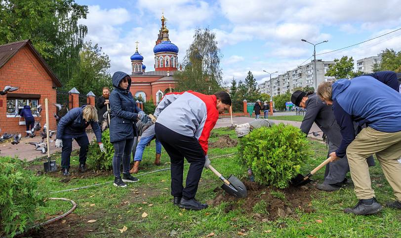 Посадка зелёных насаждений в Орехово-Зуеве